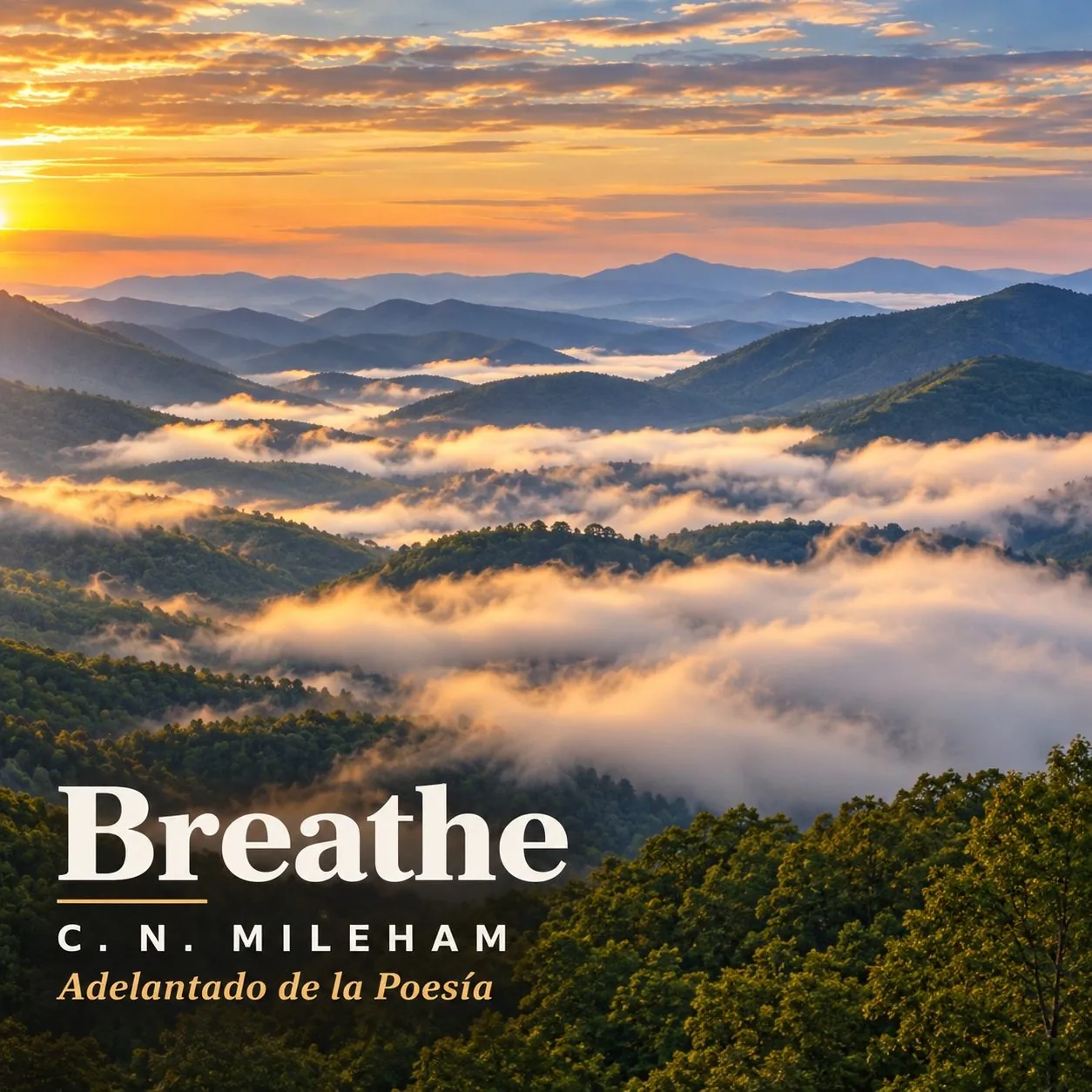 Breathe cover