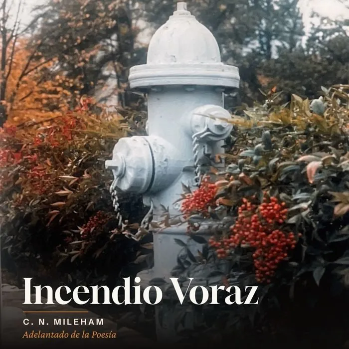 Incendio Voraz