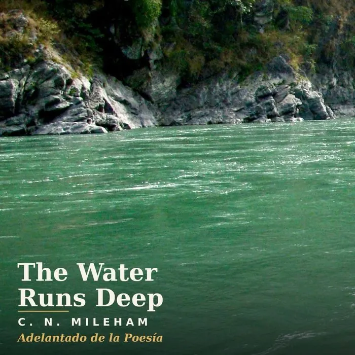 The Water Runs Deep cover