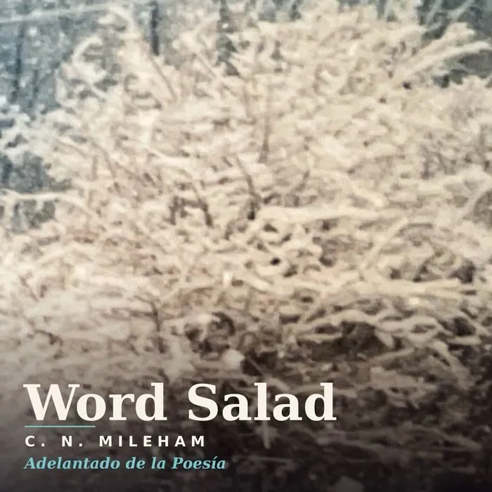 Word Salad cover